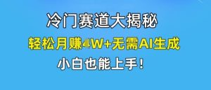 冷门赛道大揭秘,轻松月赚1W+无需AI生成,小白也能上手【揭秘】-世康聊项目