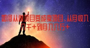如何从做项目变成卖项目,从月收入几千到月入几万【揭秘】-世康聊项目