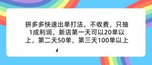 （11681期）拼多多2天起店，只合作不卖课不收费，上架产品无偿对接，只需要你回…-世康聊项目