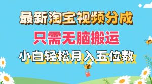 (11744期)最新淘宝视频分成,只需无脑搬运,小白也能轻松月入五位数,可矩阵批量…-世康聊项目