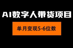 （11751期）2024年Ai数字人带货，小白就可以轻松上手，真正实现月入过万的项目-世康聊项目