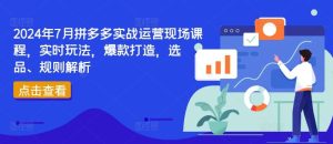 2024年7月拼多多实战运营现场课程,实时玩法,爆款打造,选品、规则解析-世康聊项目