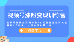 视频号涨粉变现训练营-实现微信生态私域运营的3个维度,达到变现的最大化-世康聊项目