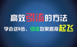 高效引流的方法，可以帮助你日引300+创业粉，一年轻松收入30万，比打工强太多！-世康聊项目