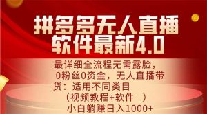 （11891期）拼多多无人直播软件最新4.0，最详细全流程无需露脸，0粉丝0资金， 小白…-世康聊项目