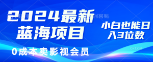 (11894期)2024最新蓝海项目,0成本卖影视会员,小白也能日入3位数-世康聊项目