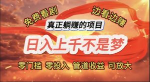 (11866期)免费看剧,边看边赚,日入上千不是梦,一个真正的躺赚项目-世康聊项目