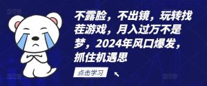 不露脸,不出镜,玩转找茬游戏,月入过万不是梦,2024年风口爆发,抓住机遇【揭秘】-世康聊项目