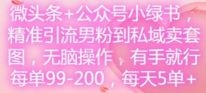 微头条+公众号小绿书,精准引流男粉到私域卖套图,无脑操作,有手就行,每单99-200,每天5单-世康聊项目