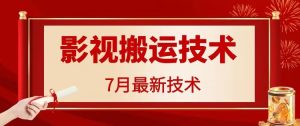 7月29日最新影视搬运技术,各种破百万播放-世康聊项目