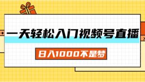 (11906期)一天入门视频号直播带货,日入1000不是梦-世康聊项目