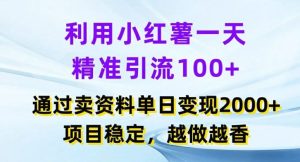利用小红书一天精准引流100+,通过卖项目单日变现2k+,项目稳定,越做越香【揭秘】-世康聊项目