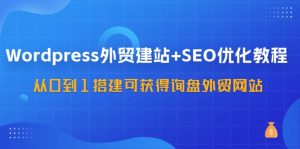 WordPress外贸建站+SEO优化教程,从0到1搭建可获得询盘外贸网站(57节课)-世康聊项目