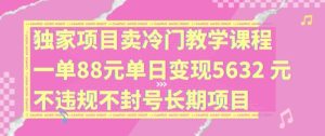 独家项目卖冷门教学课程一单88元单日变现5632元违规不封号长期项目【揭秘】-世康聊项目