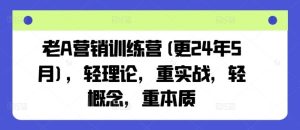 老A营销训练营(更24年7月),轻理论,重实战,轻概念,重本质-世康聊项目