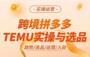 跨境拼多多TEMU实操与选品,多多temu跨境选品运营实操-世康聊项目
