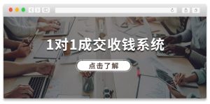 1对1成交收钱系统，全网130万粉丝，十年专注于引流和成交！-世康聊项目