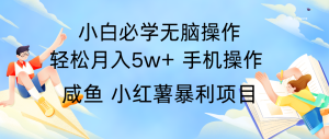 全网首发2024最暴利手机操作项目，简单无脑操作，每单利润最少500+-世康聊项目