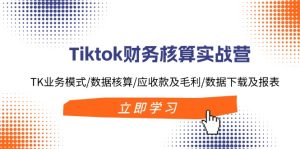 (11978期)Tiktok财务核算实战营:TK业务模式/数据核算/应收款及毛利/数据下载及报表-世康聊项目