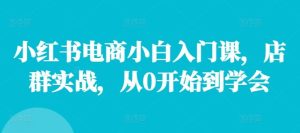 小红书电商小白入门课,店群实战,从0开始到学会-世康聊项目