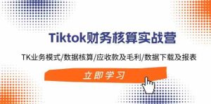 Tiktok财务核算实战营:TK业务模式/数据核算/应收款及毛利/数据下载及报表-世康聊项目