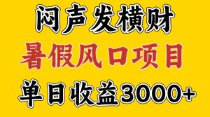 30天赚了7.5W 暑假风口项目,比较好学,2天左右上手-世康聊项目
