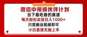 （12017期）微信中视频伙伴计划，仅靠搬运就能轻松实现日入500+，关键操作还简单，…-世康聊项目