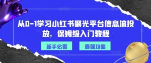 从0-1学习小红书聚光平台信息流投放，保姆级入门教程-世康聊项目