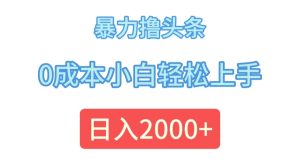 （12068期）暴力撸头条，0成本小白轻松上手，日入2000+-世康聊项目