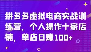 拼多多虚拟电商实战训练营,个人操作十家店铺,单店日赚100+-世康聊项目