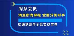 淘系会员初级到高手全系实战宝典【淘宝所有课程，全面分析对手】-世康聊项目