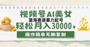 (12087期)视频号AI美女跳舞,轻松月入30000+,蓝海赛道,流量池巨大,起号猛,无…-世康聊项目