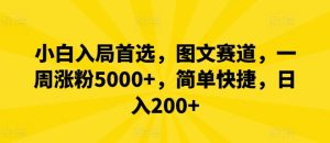 小白入局首选,图文赛道,一周涨粉5000+,简单快捷,日入200+-世康聊项目
