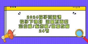 2024钩子引流课：钩子下得好流量不再愁，定位篇/标签篇/破播放篇/24节-世康聊项目