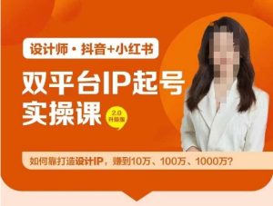 双平台IP起号实操营，教你如何靠打造设计IP，赚到10万、100万、1000万?-世康聊项目