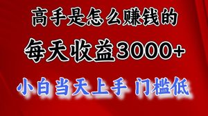 (12144期)1天收益3000+,月收益10万以上,24年8月份爆火项目-世康聊项目