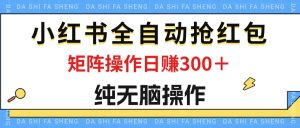 （12151期）最新小红书全自动抢红包，单号一天50＋  矩阵操作日入300＋，纯无脑操作-世康聊项目