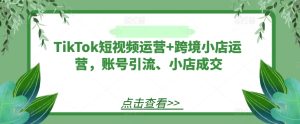 TikTok短视频运营+跨境小店运营，账号引流、小店成交-世康聊项目
