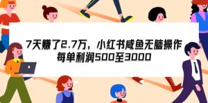 (12192期)7天收了2.7万,小红书咸鱼无脑操作,每单利润500至3000-世康聊项目