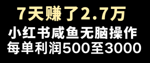 七天赚了2.7万！每单利润最少500+，轻松月入5万+小白有手就行-世康聊项目