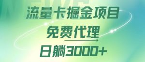 （12321期）流量卡掘金代理，日躺赚3000+，变现暴力，多种推广途径-世康聊项目