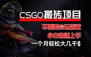 (12332期)CSGO 装备搬砖项目,操作简单,不需要会玩游戏,小白也能快速上手,一…-世康聊项目
