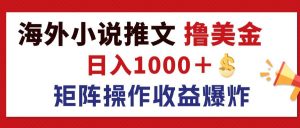(12333期)最新海外小说推文撸美金,日入1000+ 蓝海市场,矩阵放大收益爆炸-世康聊项目