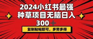 （12336期）2024小红书最强种草项目，无脑日入300+，复制粘帖即可，多劳多得-世康聊项目