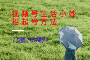 视频号生活小妙招分享赛道, 起号涨粉新方法,日涨100粉-世康聊项目