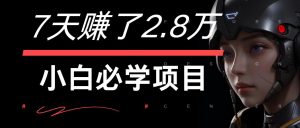 7天赚了2.8万!每单利润最少500+,轻松月入7万+小白有手就行-世康聊项目