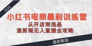 2024小红书电商暴利训练营:从开店到选品,混剪到无人直播全攻略-世康聊项目