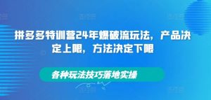 拼多多特训营24年爆破流玩法,产品决定上限,方法决定下限,各种玩法技巧落地实操-世康聊项目