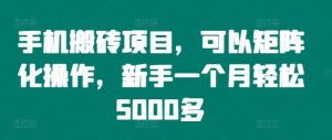 手机搬砖项目，可以矩阵化操作，新手一个月轻松5000多-世康聊项目