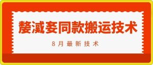 抖音96万粉丝账号【嫠㵄㚣】同款搬运技术-世康聊项目